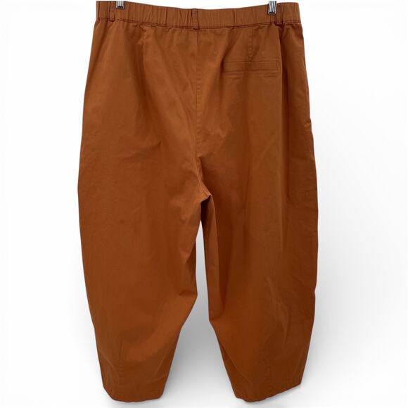 Anthropologie Maeve Curve Poplin Barrel Pants L - Picture 10 of 10